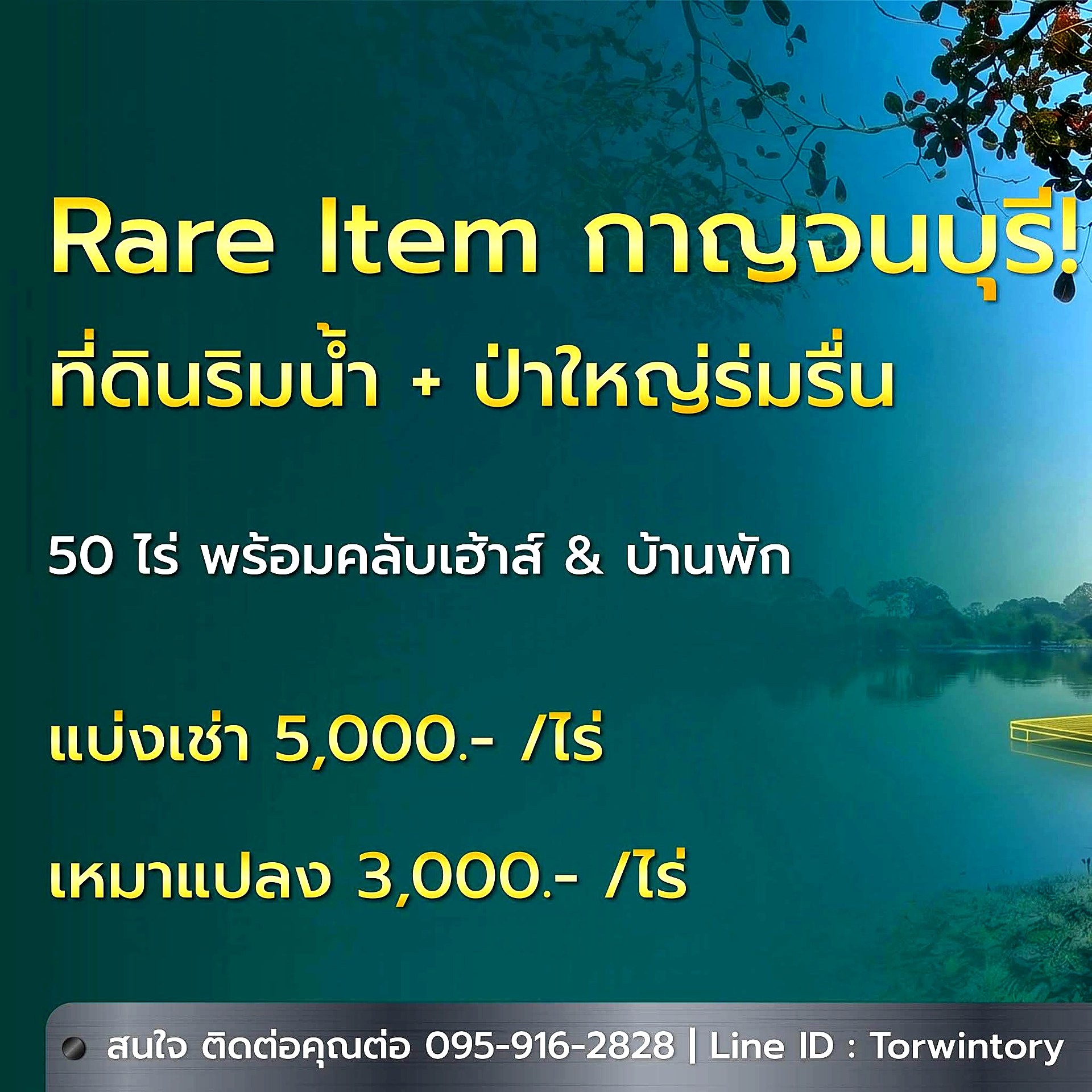 ให้เช่าที่ดิน 50 ไร่ ติดแม่น้ำแควน้อย กาญจนบุรี · ป่าร่มรื่น มีบ้าน 2 หลัง + Clubhouse รูปที่ 10