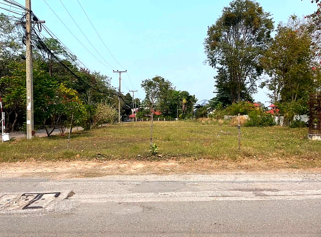 ที่ดินฝั่งทะเล นาเกลือ 12 พัทยา 374 ตร.ว. ใกล้ปราสาทสัจธรรม · ขาย/เช่าทำโรงแรม รูปที่ 8