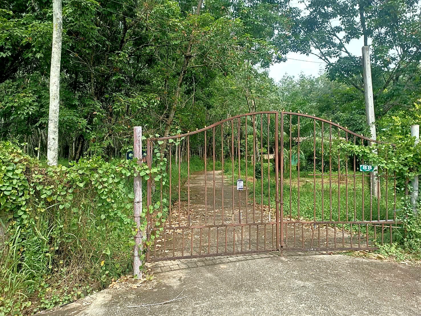 ขายที่ดินผืนใหญ่ 126 ไร่ อ.ถลาง ภูเก็ต · ไร่ละ 7 ล้าน · เหมาะ Mixed-use / Villa Community รูปที่ 7